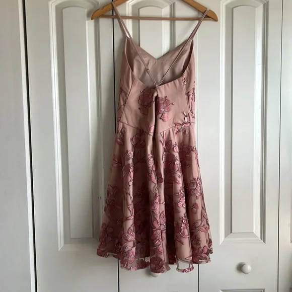Two Sisters. Small size 4. Blush embroidered Mini dress - Picture 2 of 6